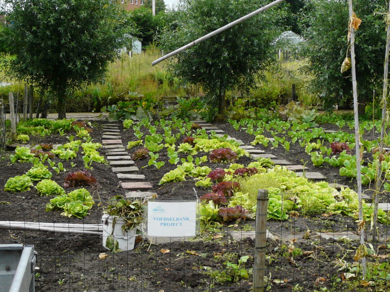 Wist u dat ? Volkstuin en kleinvee vereniging Dier en Tuin